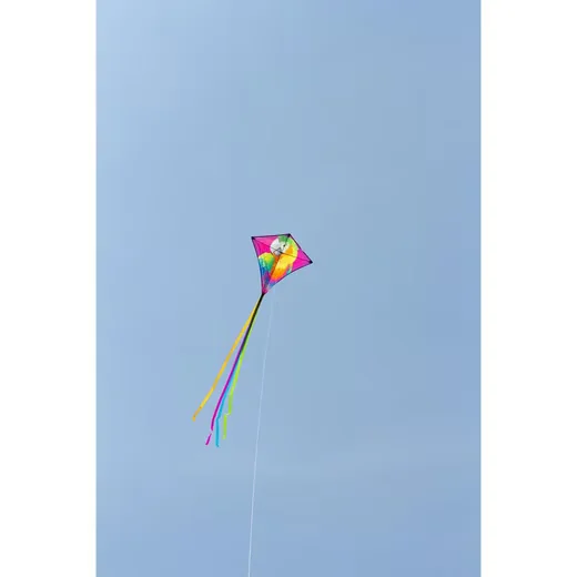 HQ Kinderdrachen Eddy Parrot Flugdrachen mit Papagei Motiv