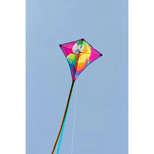 HQ Kinderdrachen Eddy Parrot Flugdrachen mit Papagei Motiv