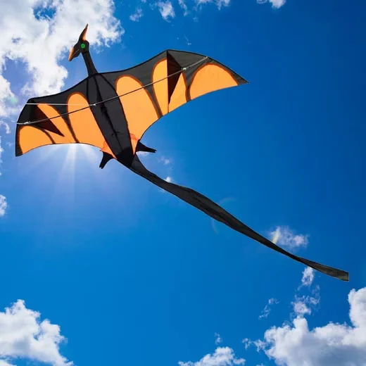 AIROW KITES Aero Flugdrachen 170x90 cm mit XXL Schwanz 4 mm Fiberglas