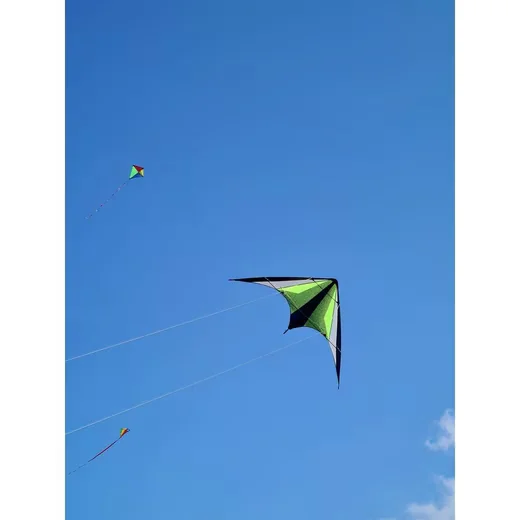 Gunther Sport Lenkdrachen Neon Loop 160 Zweileiner 160 cm Spannweite