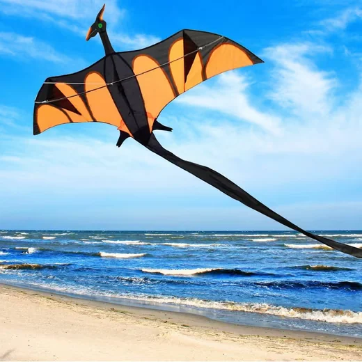 AIROW KITES Aero Flugdrachen 170x90 cm mit XXL Schwanz 4 mm Fiberglas