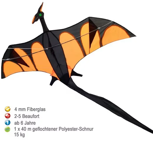 AIROW KITES Aero Flugdrachen 170x90 cm mit XXL Schwanz 4 mm Fiberglas