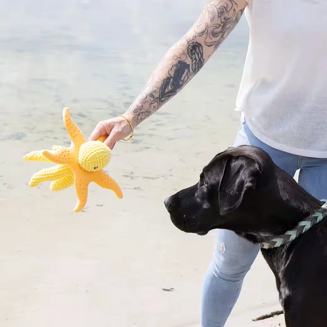 KIWI WALKER Wasserspielzeug Hund Oktopus und Seestern mit Plüsch